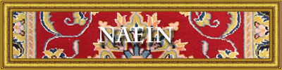 NAEIN